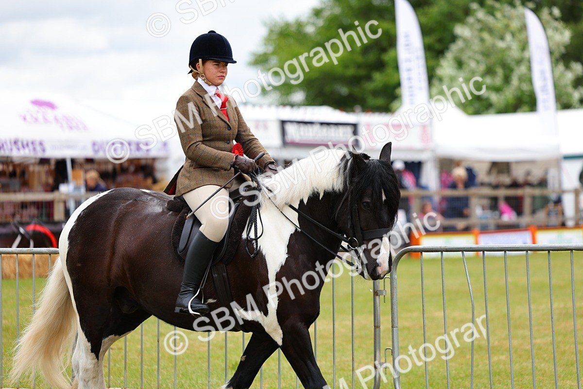 SBM_02588 - Class 9-11 Side Saddle including LIHS Rising Star Ladies Show Horse
