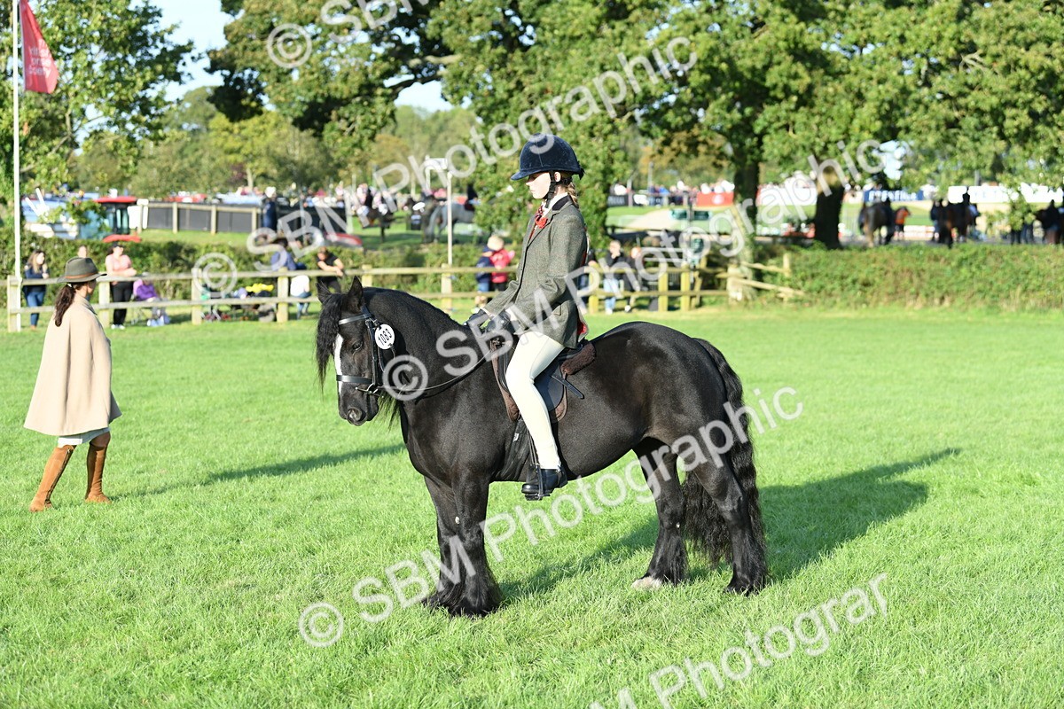 SBM_54078 - S23 - 1st Ridden Mountain & Moorland Pony