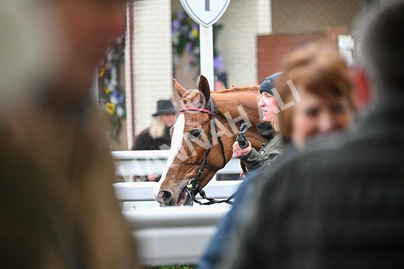 210126-Race 2-Kosac dOudairies-3834 - Race 2