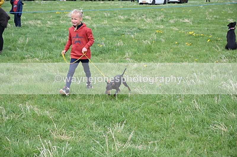 WJ6_8121 - Class 2 Best Pedigree