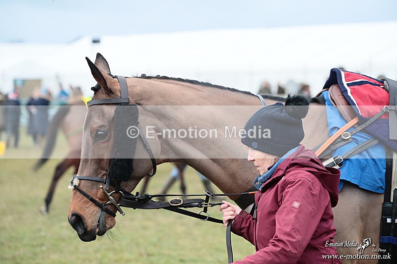 PtP 250126 1321 - Cocklebarrow Races Point-to-Point 25/01/26
