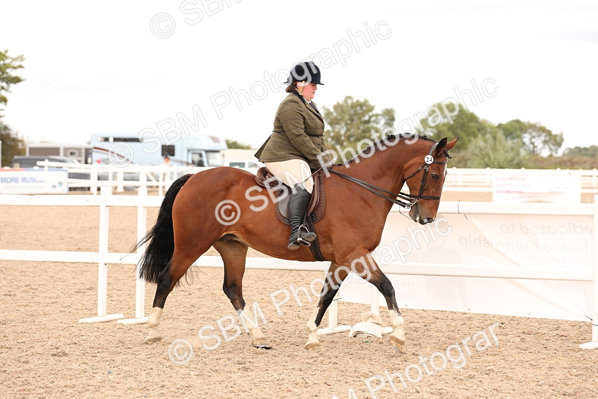 SBM_16477 - Class 212 - Ridden Hunter - Small