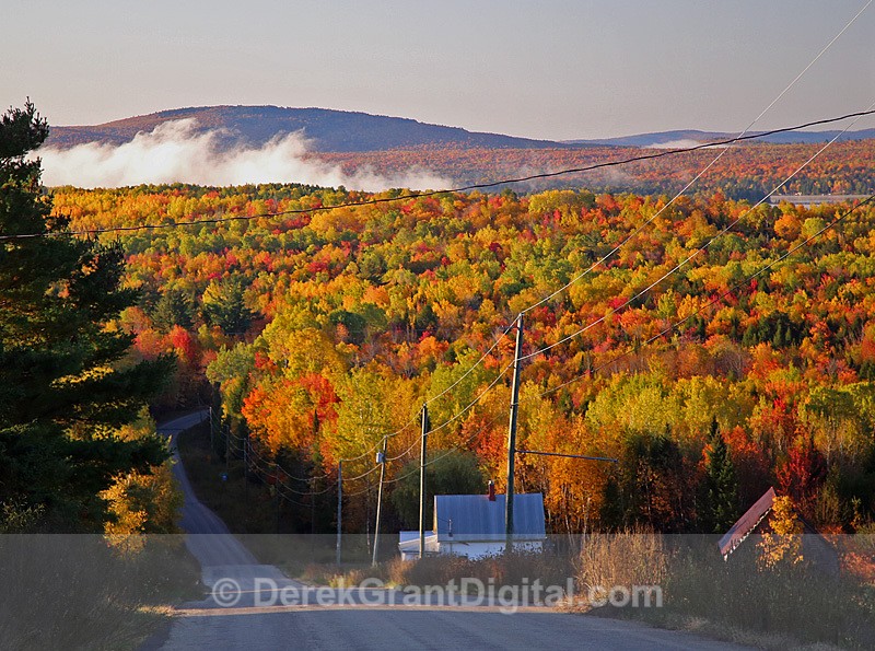 Autumn Foliage New Brunswick Canada Maine USA - Autumn Foliage