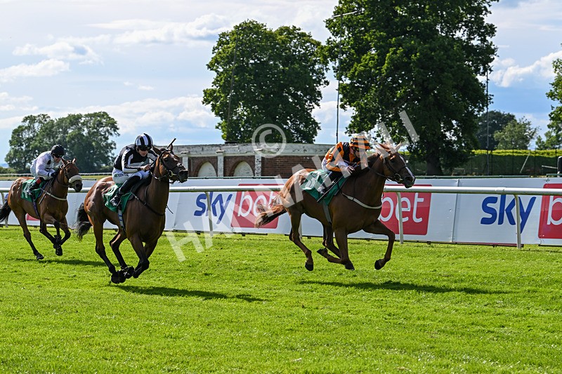 160624-Race 3-Mereside Diva-8530 - Race 3