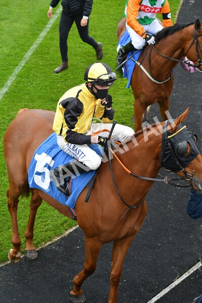 yr22052021r3-3 - Race 3 3.15pm William Hill Extra Place Races Stakes