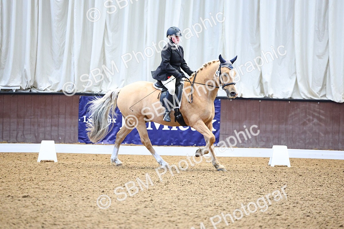 SBM_003646 - Class 11 - Prelim 5