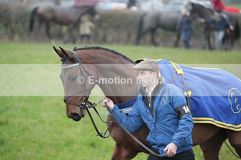 PtP 041222 0347 - Wheatland  Hunt PtP Chaddesley Corbett, Worcs 04/12/22