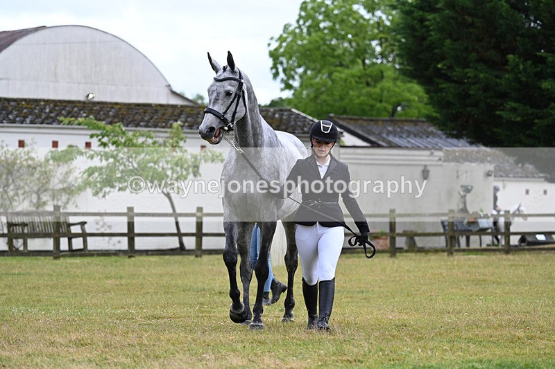 WJ7_6044 - Class 4a Prettiest Mare over 14hh