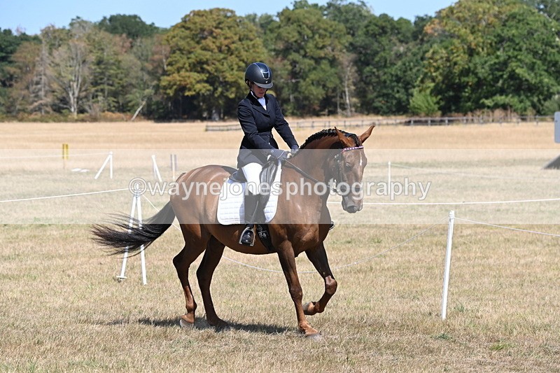 WJ6_9175 - Championship Classes 33-38