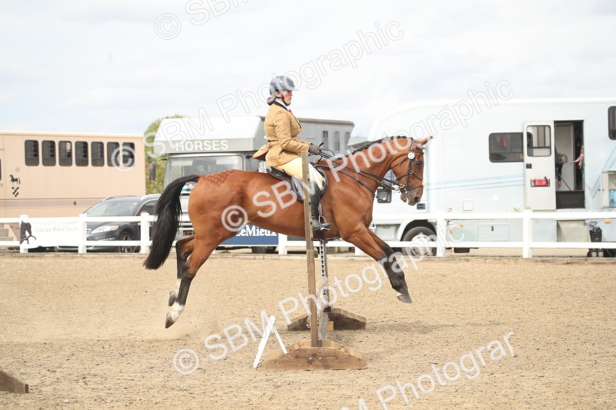 SBM_16784 - Class 507b - Working Veteran 60cm (20+)