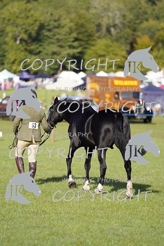 _DSC9527 - Class 8 & 17 Ridden Hunter & Ridden Hunter Pony