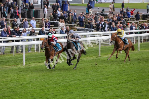 140624-Race 4-Havana Gila-5632 - Race 4 3.35pm Seat Unique Ganton Stakes