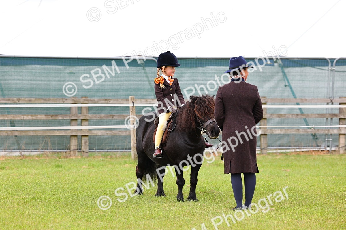 SBM_08167 - Class 42-43 - LIHS BSPS Heritage Working Sports Pony