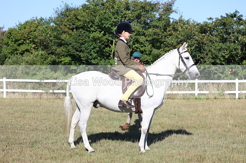 3E7A5368 - Class 2: Working Hunter 60cm