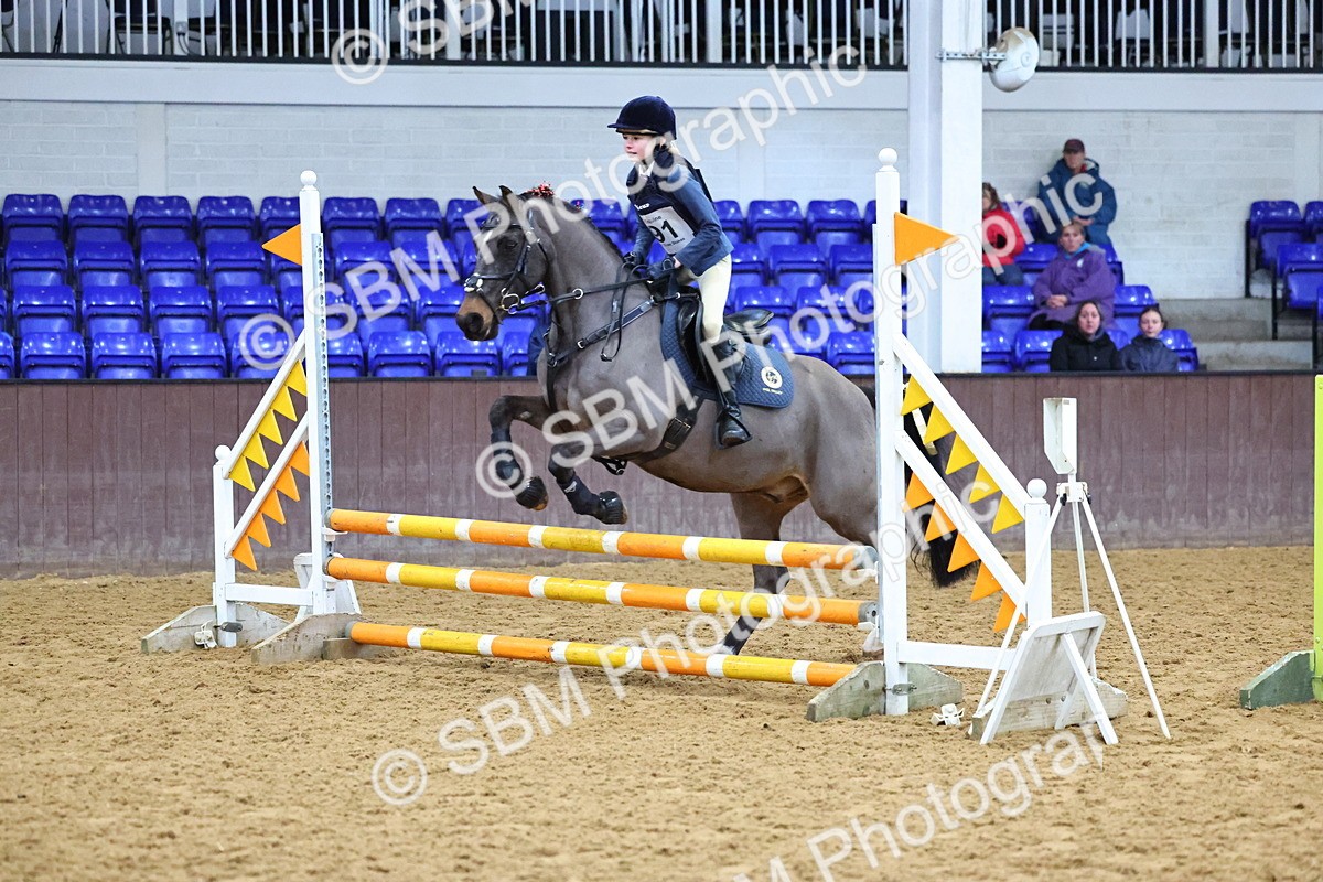 SBM_001284 - Class 3 - Christmas Tree Stakes - 60cm