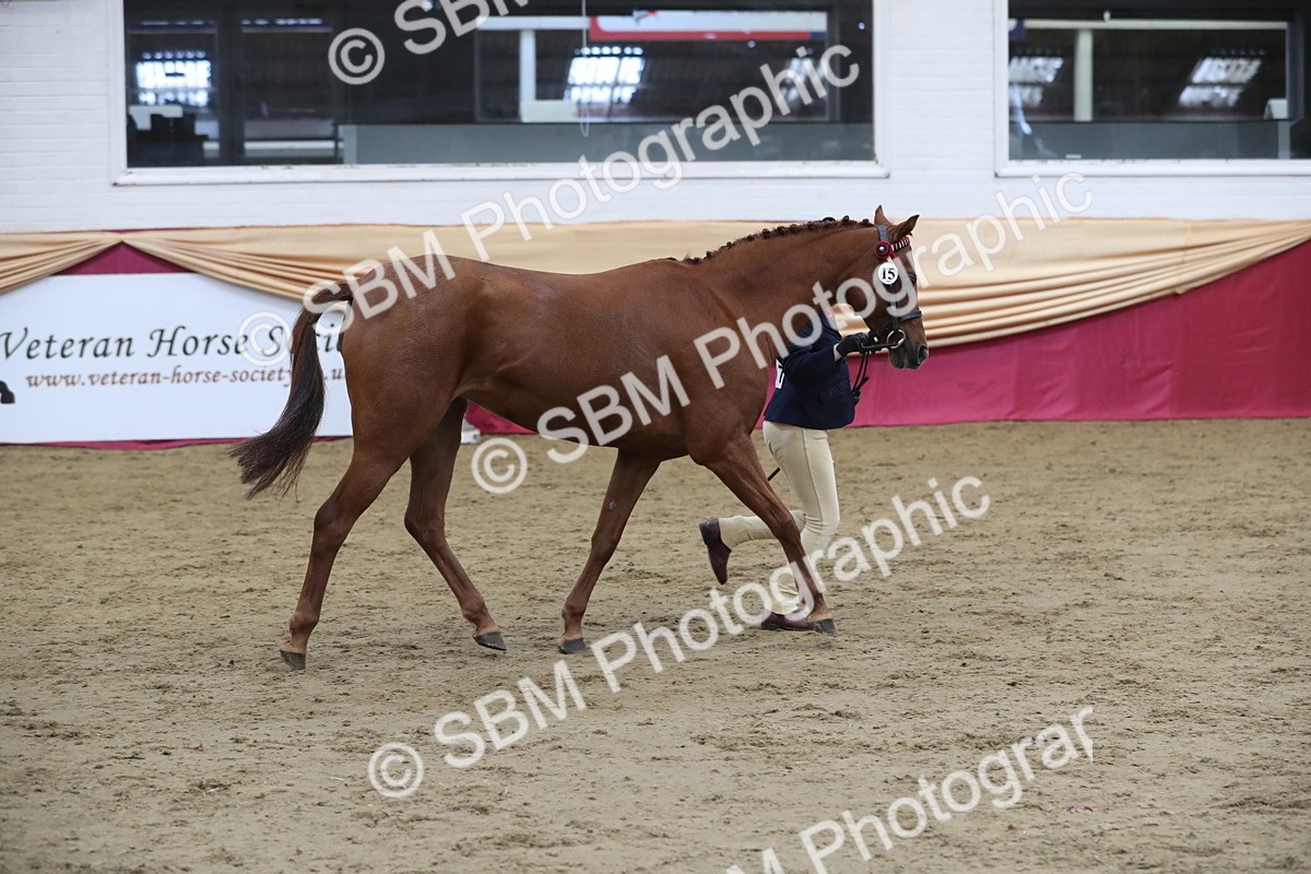 SBM_06436 - Class 9R Regional- IH Pre Vet