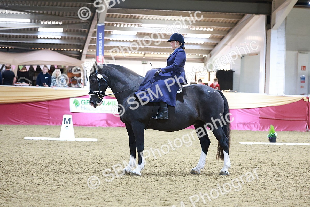 SBM_09936 - Class 61 - Dressage to Music