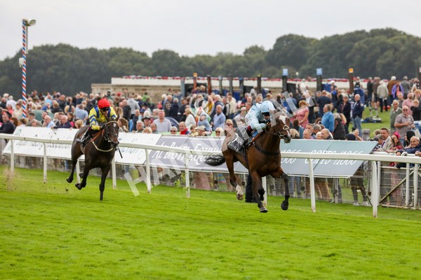 220824-Race 5-Scenic-7816 - Race 5 4.10pm British EBF & Sir Henry Cecil Galtres Stakes