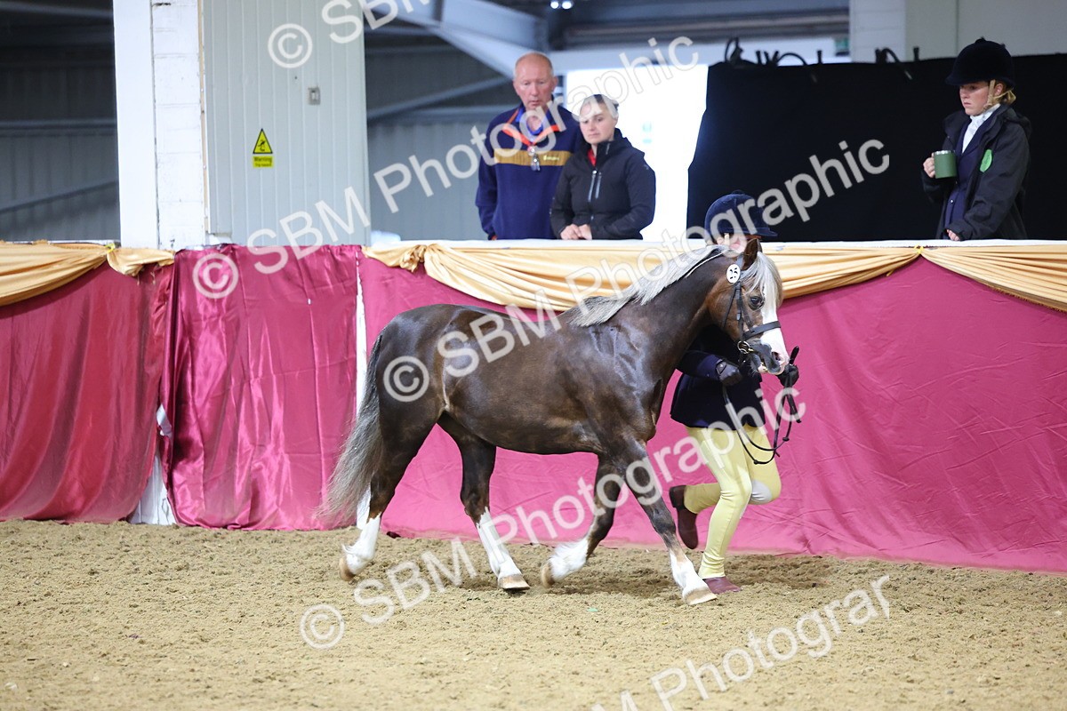 SBM_19391 - Class 901 - Supreme Final - IH Diamond