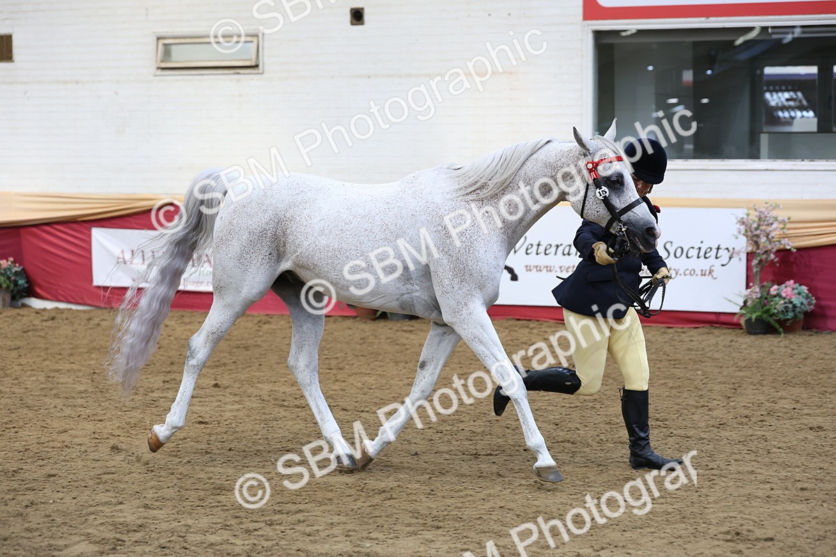 SBM_23639 - class 906 - Supreme Final - Ridden Pre Vet