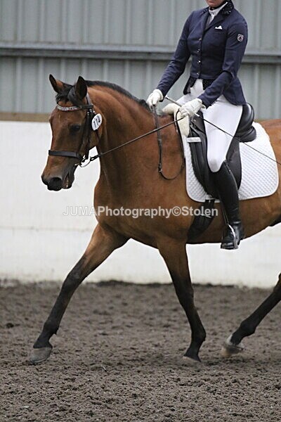SIAL5559 - CAbin Dressage 5th july 2025