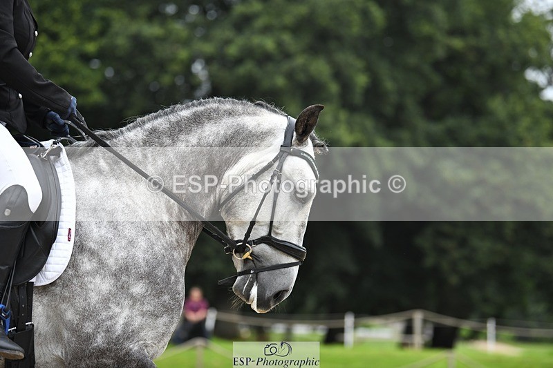 230812-101359-02928 - Cls 6 Novice Silver Start to 10.20 break