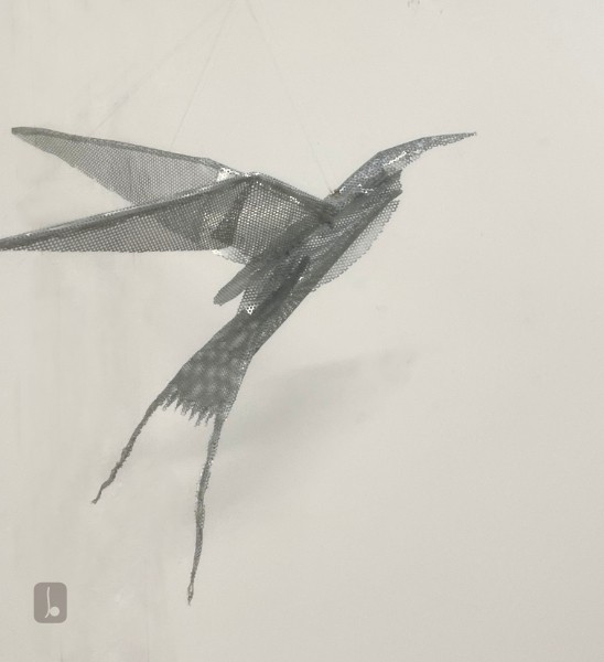 Arctic Tern Hovering - departures and returns