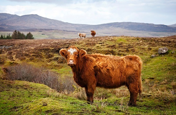  - Scotland, UK