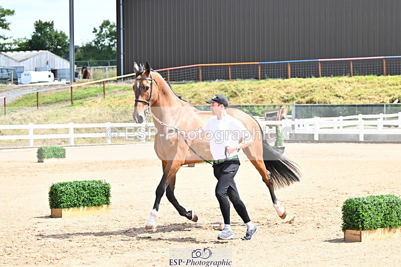 240718A-105248-01178 - Trot Up 12pm to 1pm