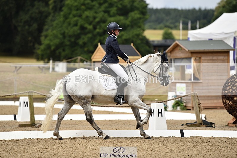 140110A-002648-10618 - 080-Polly.Vogel-Loughamore.Lady