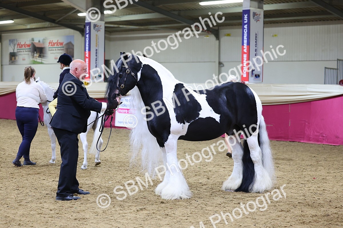 SBM_18650 - Class C Best Turned Out Champ