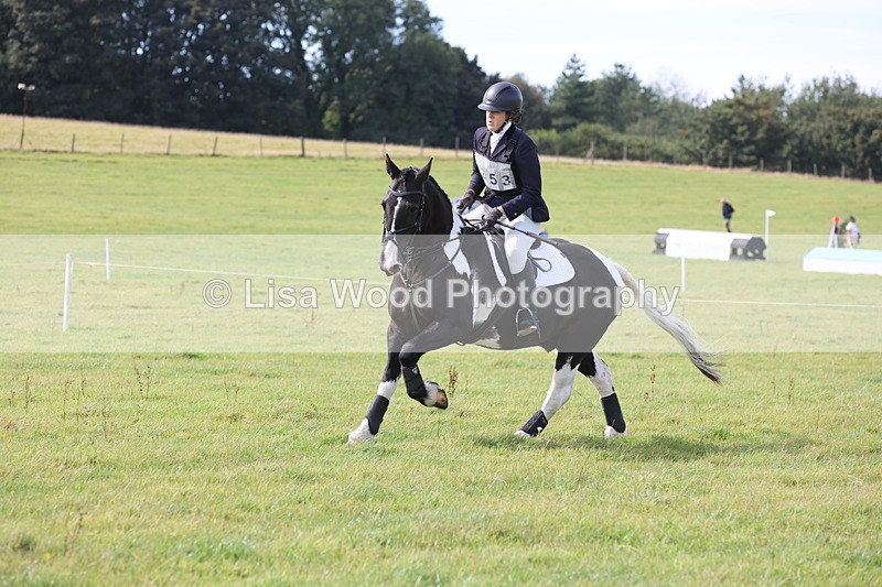 JPP_8606 - Class 2: Trekenning: 80cm Showjumping