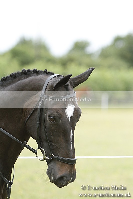 BVR160717-941 - Ring 3 BVRC Show 16/07/17