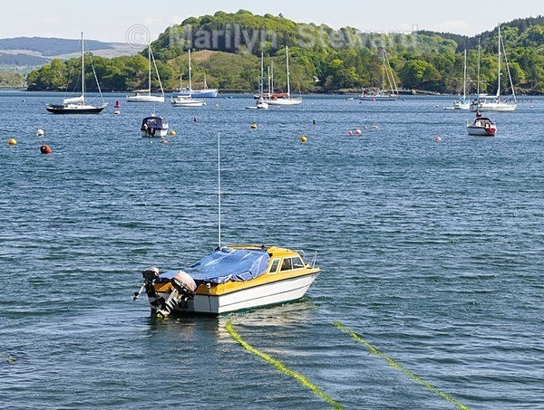 Tobermory harbour-2 - Scotland