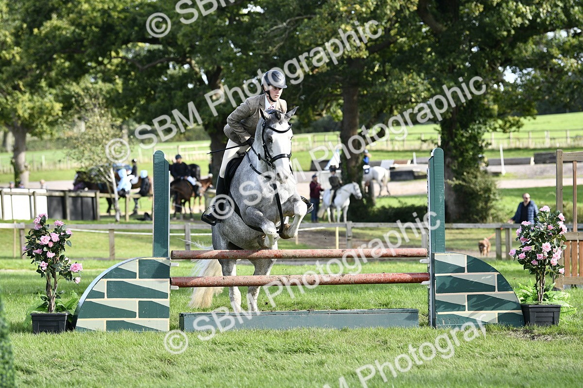 SBM_52203 - S35 - Working Hunter & Working Show Horse