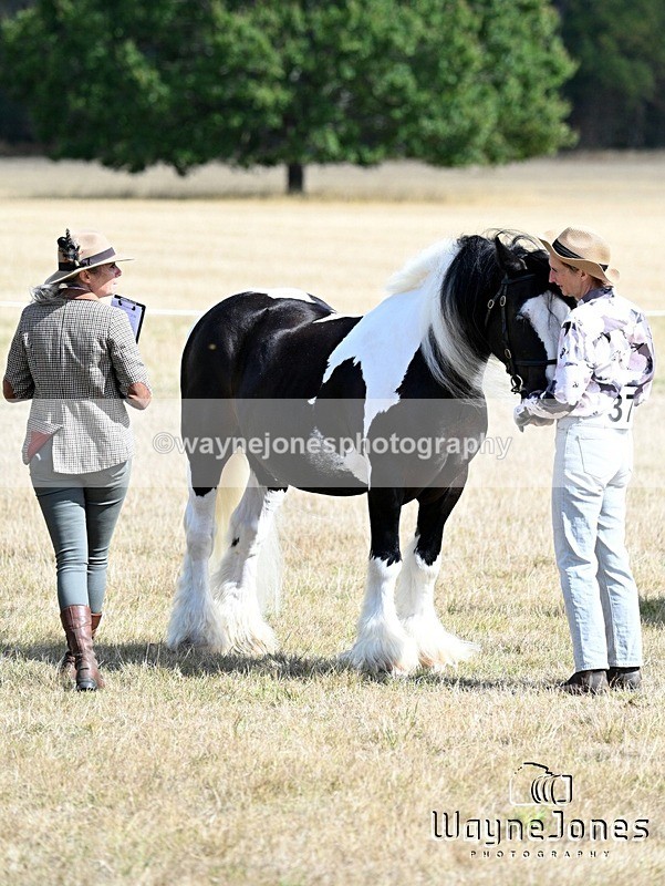 WJ7_9129 - Kellie and Nancy at Swallowfield 31-08-26