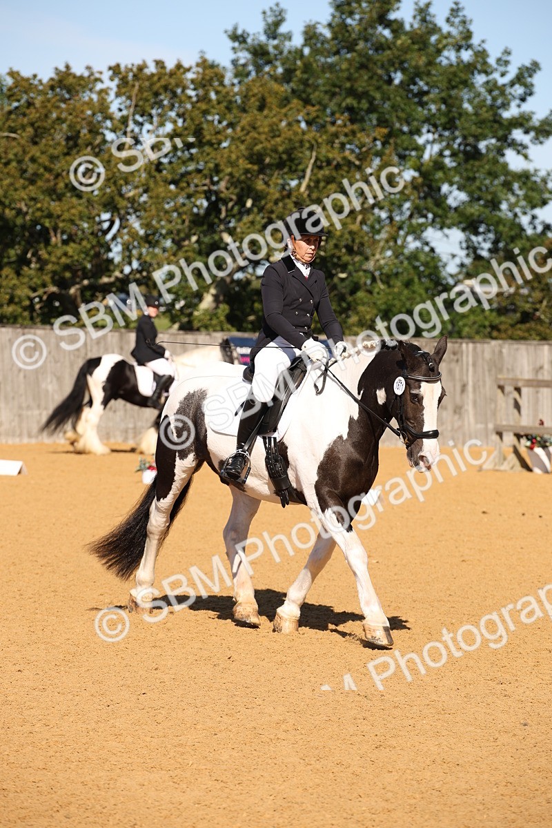 SBM_18452 - D31 - Grand Tour - PYO Open