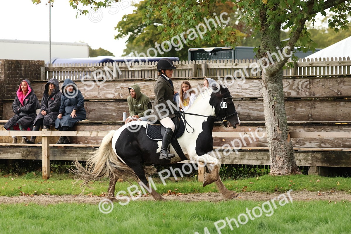 SBM_45002 - S27 - Young Veteran Ridden