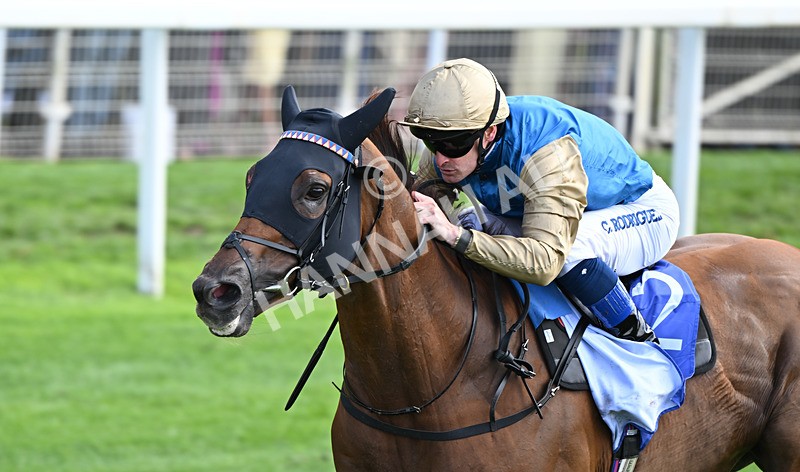 220826-010 Archivist - Race 1 13.50pm Sky Bet Strensall Stakes