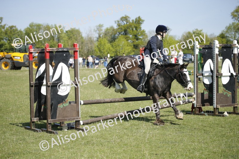 20250427-2035 - Class 13 - Novice Jumping 60cm