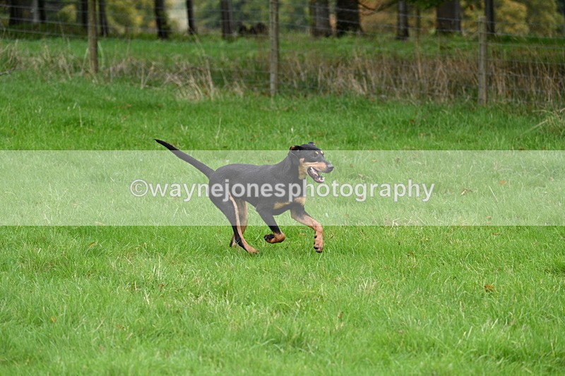 WJ7_4381 - Camera 1 Line 3