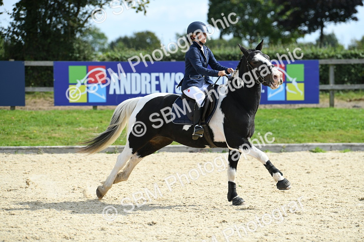 SBM_64901 - J48 - Pairs Jumping Open 70cm & 85cm