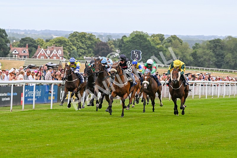 140824-Race 3-King Sharja-6187 - Race 3