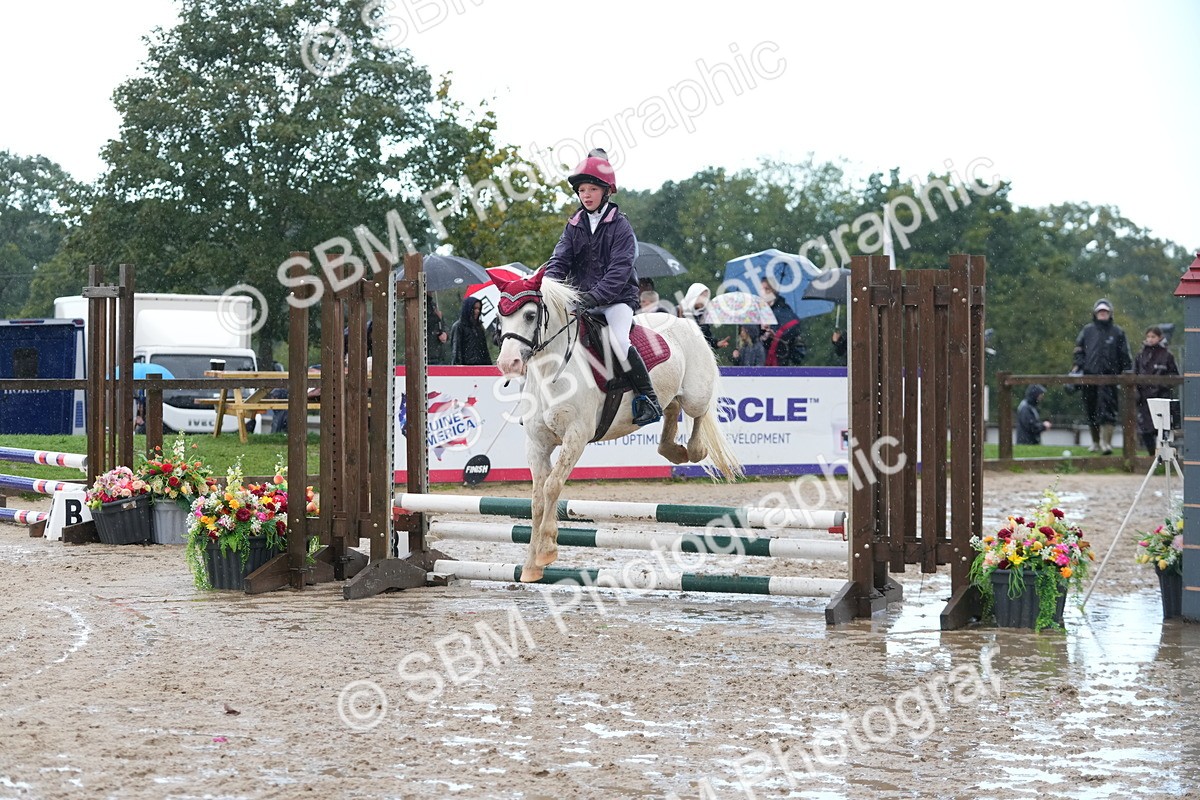 SBM_36318 - J5 - Junior Pony 50cm Championship