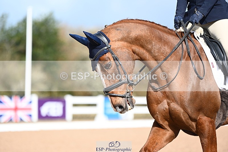 240323A-095554-01043 - MyQuest Prelim 12