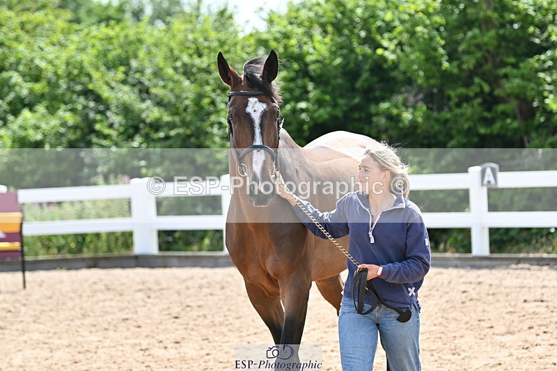 240717A-150954-02593 - Trot Up 3pm to 4pm