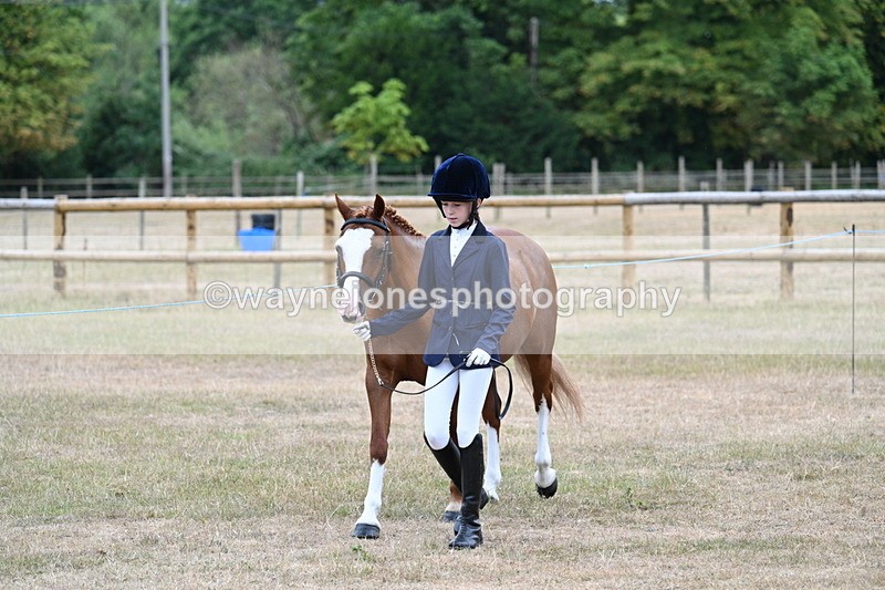 WJ7_7992 - Class 4 Prettiest Mare up to 14.2hh