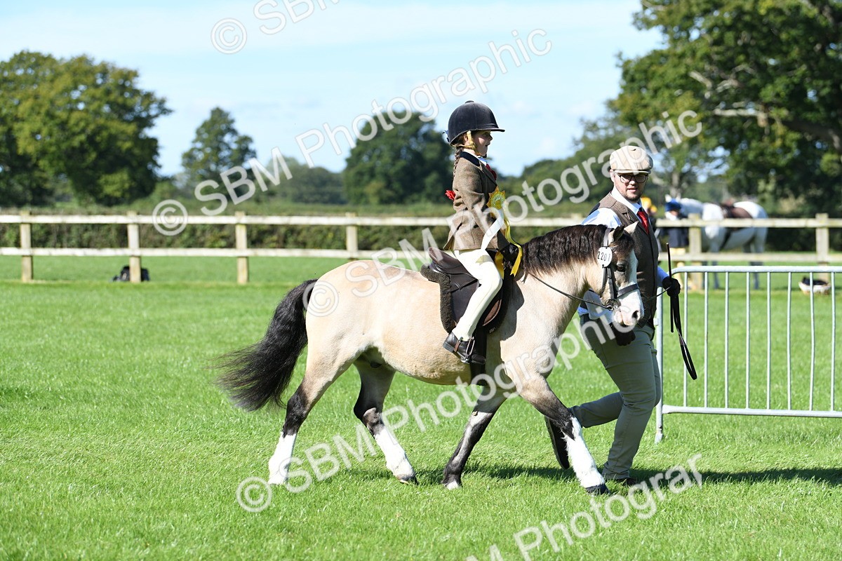 SBM_37110 - S18 - Novice & Newcomers Lead Rein Pony