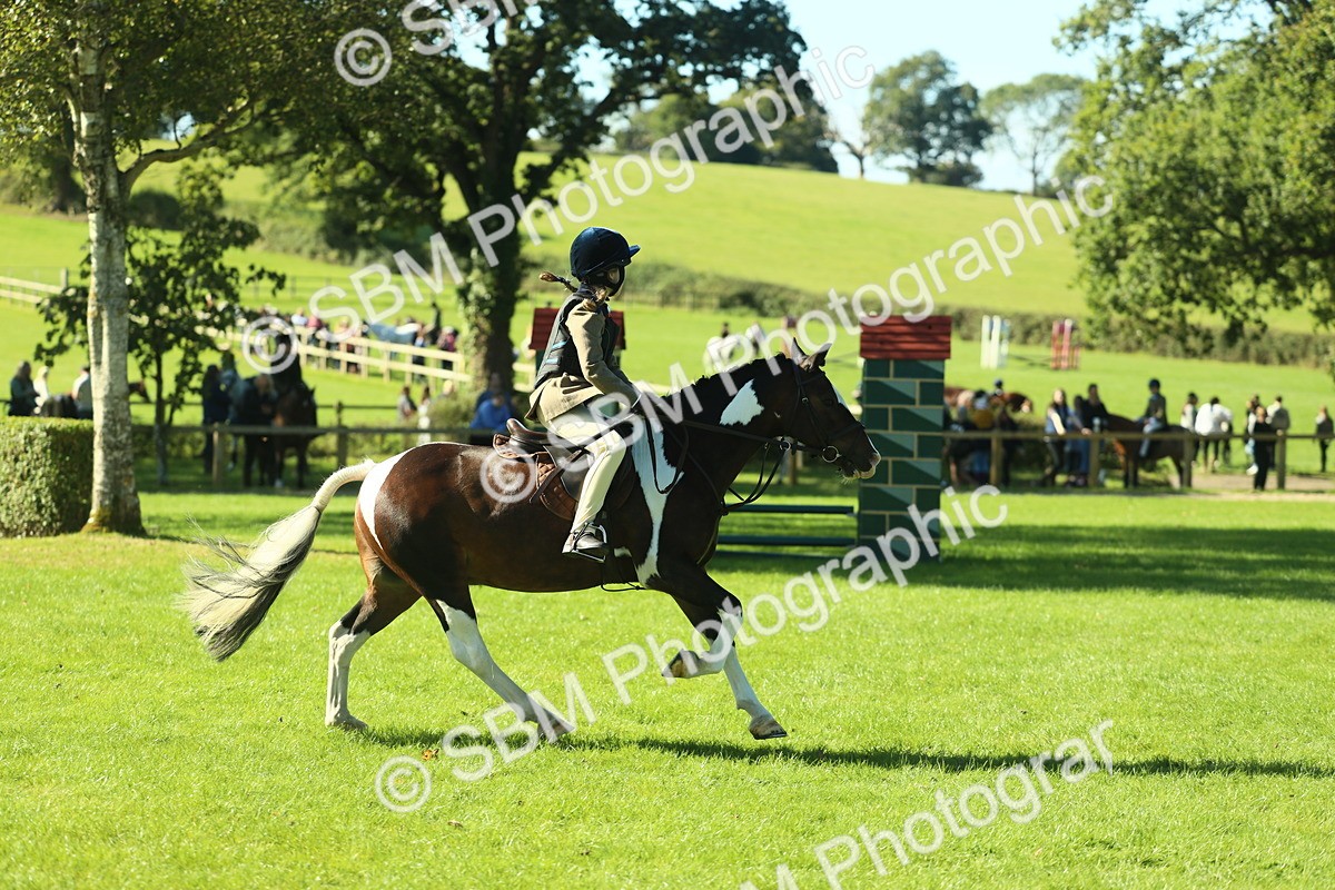 SBM_37529 - S29 - Novice & Newcomers Working Hunter Pony