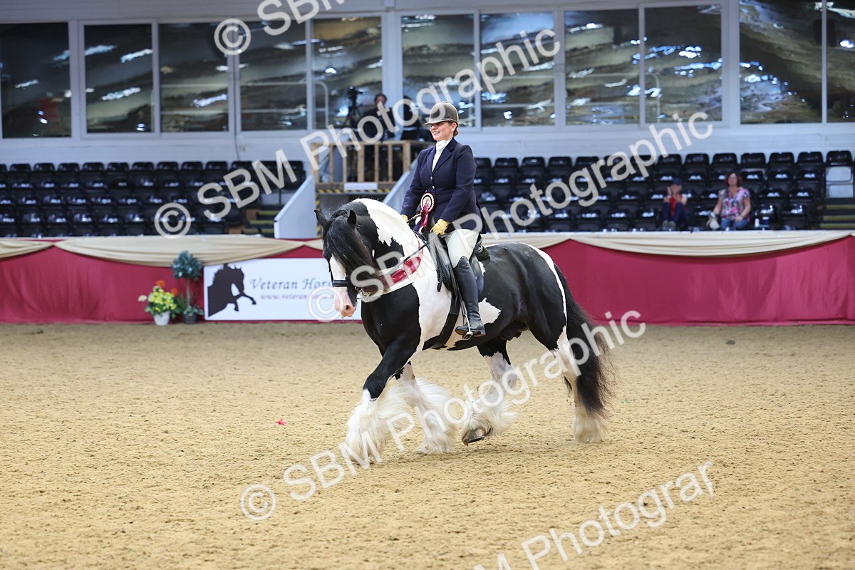 SBM_24231 - Class 905 - Supreme Final - Ridden Veteran